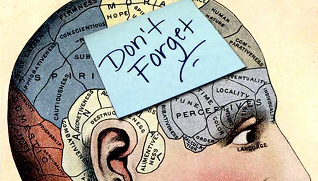 Diagram of a brain with a note saying, "Don't Forget."