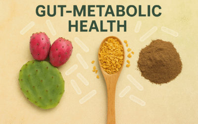Gut Microbiome Harmony: Gut-Metabolic Health