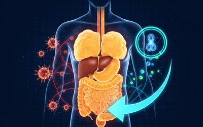 The Challenge of Visceral Fat: Restoring Metabolic Flexibility