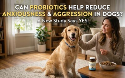 Can Probiotics Help Reduce Anxiousness and Aggression in Dogs?  A New Study Says Yes!